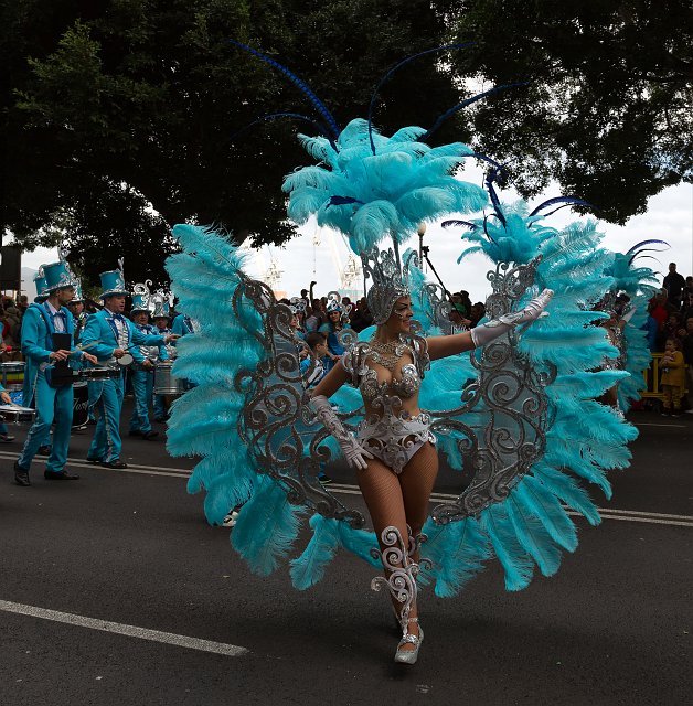 Carnival 2015 of Santa Cruz de Tenerife (IMG_1463.jpg)