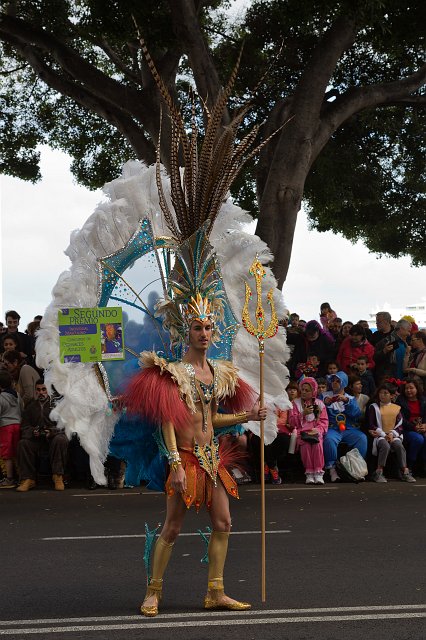 Carnival 2015 of Santa Cruz de Tenerife (IMG_1472.jpg)