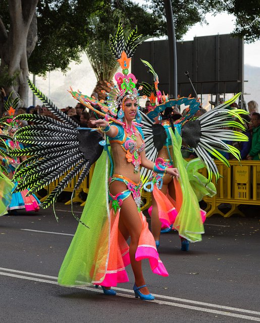 Carnival 2015 of Santa Cruz de Tenerife (IMG_1480.jpg)