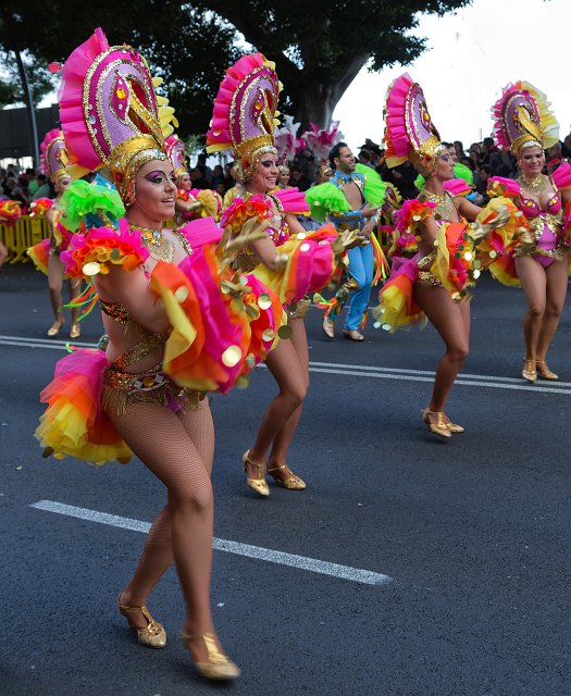 Carnival 2015 of Santa Cruz de Tenerife (IMG_1504.jpg)