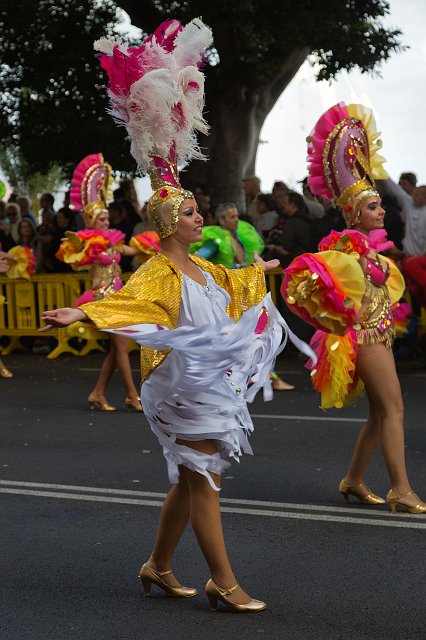 Carnival 2015 of Santa Cruz de Tenerife (IMG_1505.jpg)