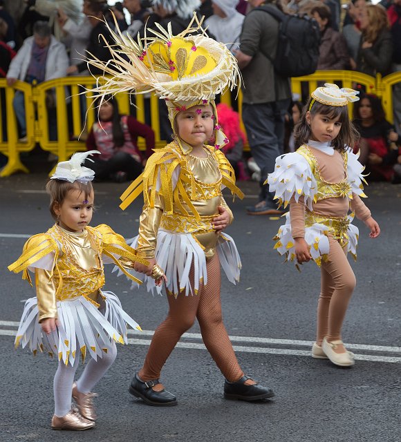 Carnival 2015 of Santa Cruz de Tenerife (IMG_1658.jpg)