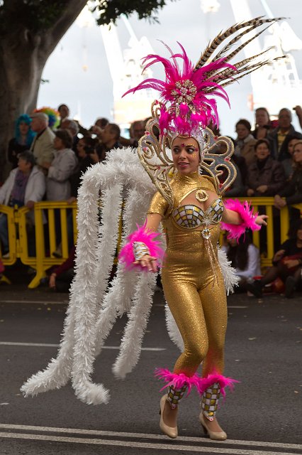 Carnival 2015 of Santa Cruz de Tenerife (IMG_1664.jpg)