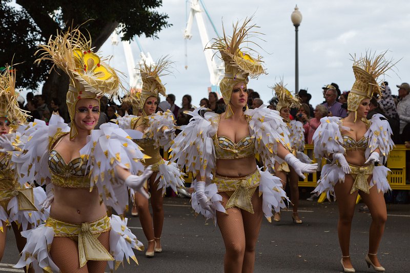 Carnival 2015 of Santa Cruz de Tenerife (IMG_1667.jpg)