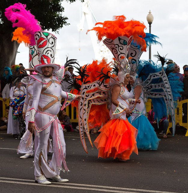 Carnival 2015 of Santa Cruz de Tenerife (IMG_1706.jpg)