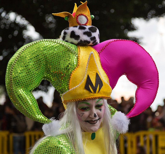 Carnival 2015 of Santa Cruz de Tenerife (IMG_1719.jpg)