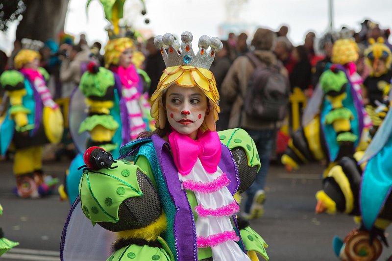 Carnival 2015 of Santa Cruz de Tenerife (IMG_1735.jpg)