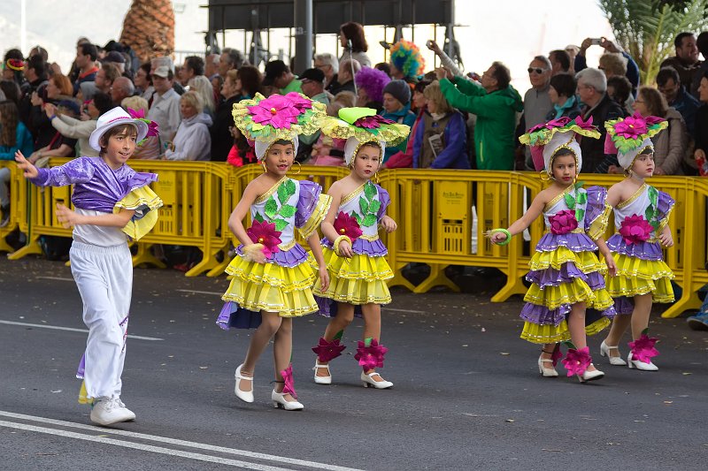 Carnival 2015 of Santa Cruz de Tenerife (IMG_1739.jpg)