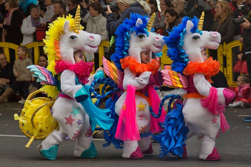 Carnival 2015 of Santa Cruz de Tenerife (IMG_1780.jpg)