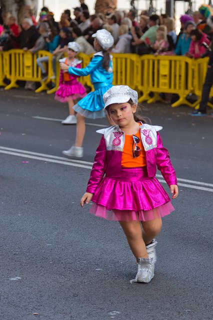 Carnival 2015 of Santa Cruz de Tenerife (IMG_1848.jpg)