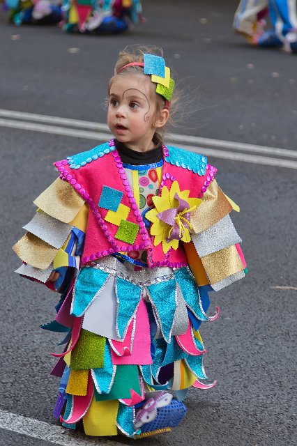 Carnival 2015 of Santa Cruz de Tenerife (IMG_1854.jpg)