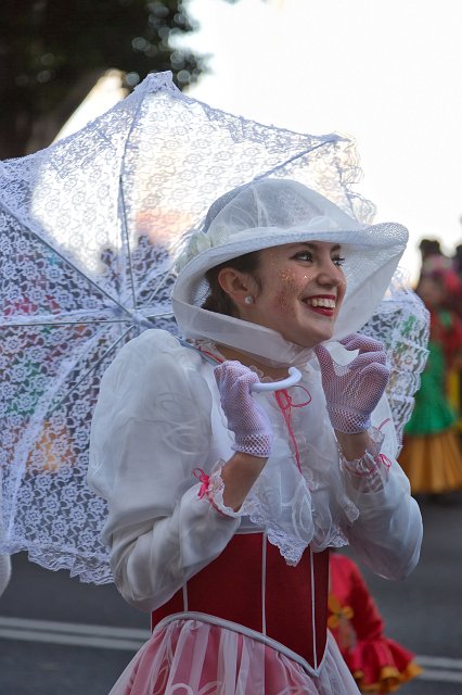 Carnival 2015 of Santa Cruz de Tenerife (IMG_1914.jpg)