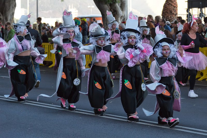 Carnival 2015 of Santa Cruz de Tenerife (IMG_1917.jpg)
