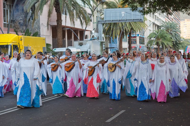 Carnival 2015 of Santa Cruz de Tenerife (IMG_1960.jpg)