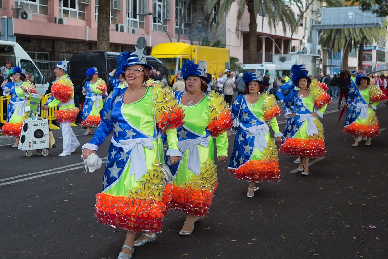 Carnival 2015 of Santa Cruz de Tenerife (IMG_1969.jpg)