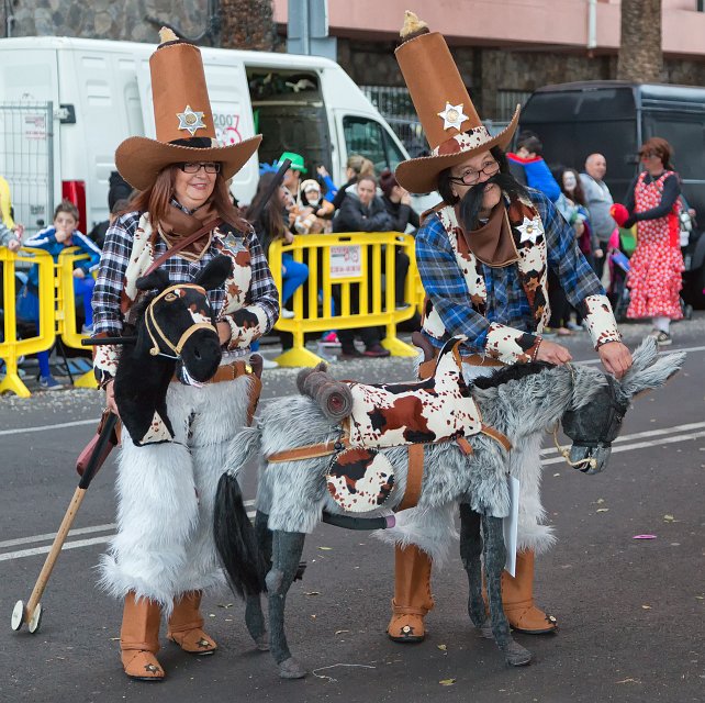 Carnival 2015 of Santa Cruz de Tenerife (IMG_1985.jpg)