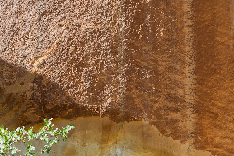 Petroglyphs, Capitol Reef National Park, Utah, USA | Capitol Reef National Park - Utah, USA (IMG_6518.jpg)