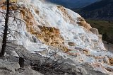 Canary Spring, Mammoth Hot Springs, Yellowstone National Park, Wyoming, USA