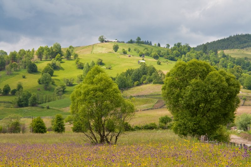 Gura Humorului landscape (Suceava county) | Romanian Countryside (CO03-IMG_8512.jpg)