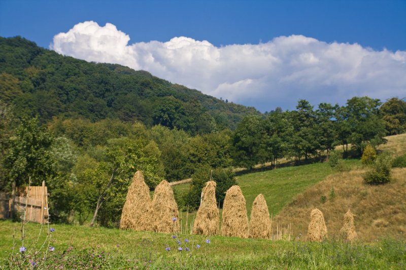 Haystacks in Neamţ county | Romanian Countryside (CO23-IMG_0875_f.jpg)