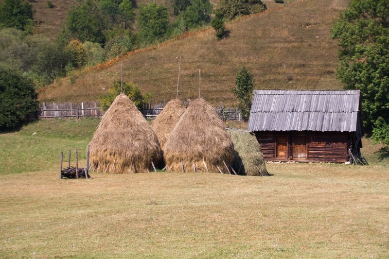 Barn and Haystacks in Neamţ county | Romanian Countryside (CO47-IMG_1068_f.jpg)